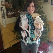 Joelle S. - Tipp City Babysitter