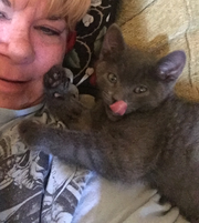 Stacie J., Pet Care Provider in Fort Mohave, AZ 86426 with 30 years paid experience