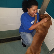 Angelicia C., Pet Care Provider in Raleigh, NC with 10 years paid experience