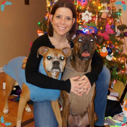 Elizabeth B., Pet Care Provider in Warren, NJ 07059 with 30 years paid experience