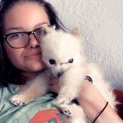 Taryn M., Pet Care Provider in Torrington, CT 06790 with 2 years paid experience