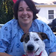 Michelle B., Pet Care Provider in Uncasville, CT 06382 with 3 years paid experience