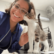 Natalia S., Pet Care Provider in Columbus, OH 43201 with 6 years paid experience