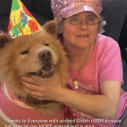 Pam F., Babysitter in Lancaster, PA with 20 years paid experience