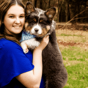 Leah M., Pet Care Provider in Knoxville, TN with 4 years paid experience