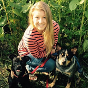 Amanda W., Pet Care Provider in Pottstown, PA 19464 with 2 years paid experience