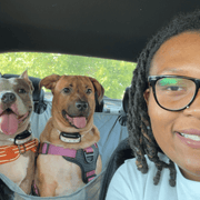 Shynea A., Child Care in Belton, SC 29627 with 4 years of paid experience