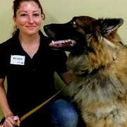 Kristen M., Pet Care Provider in Summerfield, FL 34491 with 10 years paid experience