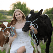 Sophie D., Pet Care Provider in Wallingford, CT with 0 years paid experience