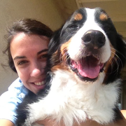 Chrissy K. - New York Pet Care Provider