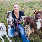 Tanya T., Pet Care Provider in Longmont, CO 80503 with 5 years paid experience