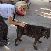 Haley T., Pet Care Provider in Gilbert, AZ 85233 with 1 year paid experience