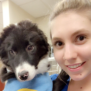 Courtney B., Pet Care Provider in Phoenix, AZ with 5 years paid experience