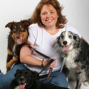 Leslie M., Pet Care Provider in Longmont, CO 80504 with 25 years paid experience