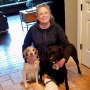 Melodee H., Pet Care Provider in Vancouver, WA with 10 years paid experience