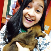 Jamie R. - Pullman Pet Care Provider