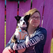 Courtney S., Pet Care Provider in Roxboro, NC 27574 with 7 years paid experience