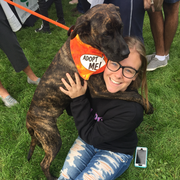 Aislinn S., Pet Care Provider in Summerville, PA 15864 with 7 years paid experience