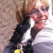 Patsy H., Pet Care Provider in Knoxville, TN 37931 with 10 years paid experience
