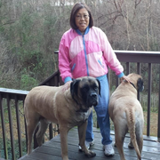Teresa B., Pet Care Provider in Evans, GA with 5 years paid experience