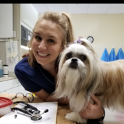 Jessica H. - Fairfax Pet Care Provider