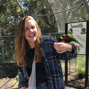 Hannah S. - Candler Babysitter