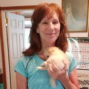 Lynn M., Pet Care Provider in Rosedale, MD 21237 with 20 years paid experience