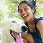 Kritika V., Pet Care Provider in Hastings, FL with 2 years paid experience