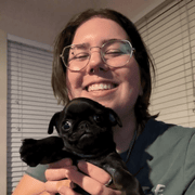 Bee K., Pet Care Provider in San Tan Valley, AZ with 1 year paid experience