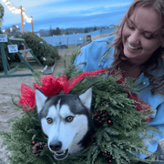 Jules D., Babysitter in Felton, CA 95018 with 5 years of paid experience