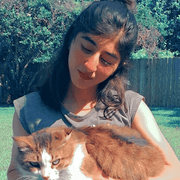 Warda H., Pet Care Provider in Missouri City, TX with 2 years paid experience