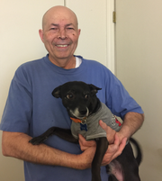 Virgilio G., Pet Care Provider in Tucson, AZ 85710 with 4 years paid experience