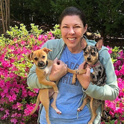 Wendy S., Pet Care Provider in Madison, MS 39110 with 1 year paid experience