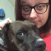 Destanie H. - Saint Helen Pet Care Provider