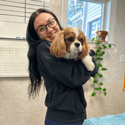 Kylie L., Pet Care Provider in Stamford, CT with 3 years paid experience