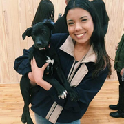 Sarah S., Pet Care Provider in Dallas, TX with 1 year paid experience