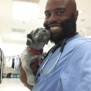 Damon W., Pet Care Provider in Darby, PA 19023 with 30 years paid experience