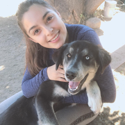 Luz H., Pet Care Provider in San Diego, CA with 1 year paid experience