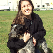 Cheyenne W., Pet Care Provider in Chandler, AZ 85286 with 5 years paid experience