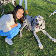 Angelina V., Pet Care Provider in Garden Grove, CA with 1 year paid experience