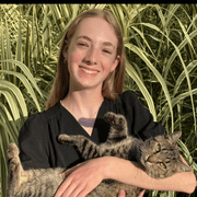 Sophia D., Babysitter in Berea, KY 40403 with 2 years of paid experience