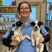 Lilah F., Pet Care Provider in Buda, TX with 2 years paid experience
