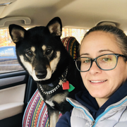 Meredith M., Pet Care Provider in Fryeburg, ME 04037 with 10 years paid experience