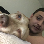 Guillermo S. - Uvalde Pet Care Provider