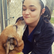 Jessica S., Pet Care Provider in Rowlett, TX 75089 with 1 year paid experience