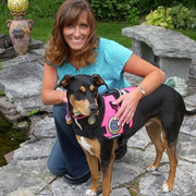 Holly M., Pet Care Provider in Saint Bonifacius, MN 55375 with 20 years paid experience
