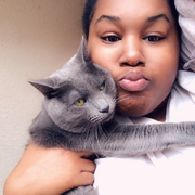 Cristal Q., Pet Care Provider in Baltimore, MD 21229 with 3 years paid experience