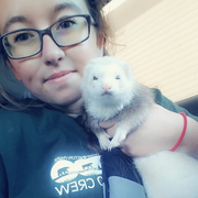 Allison M. - Benton Harbor Pet Care Provider