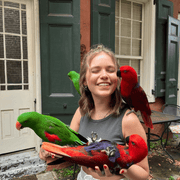 Emily T., Babysitter in Clearwater, FL with 1 year paid experience