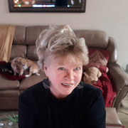 Donna H., Pet Care Provider in Texarkana, TX with 5 years paid experience